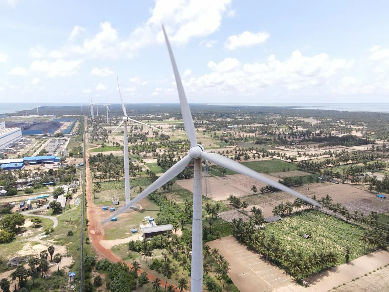 Wind turbines above open land and palms, with Sri Lanka’s north-west coastline on the horizon.